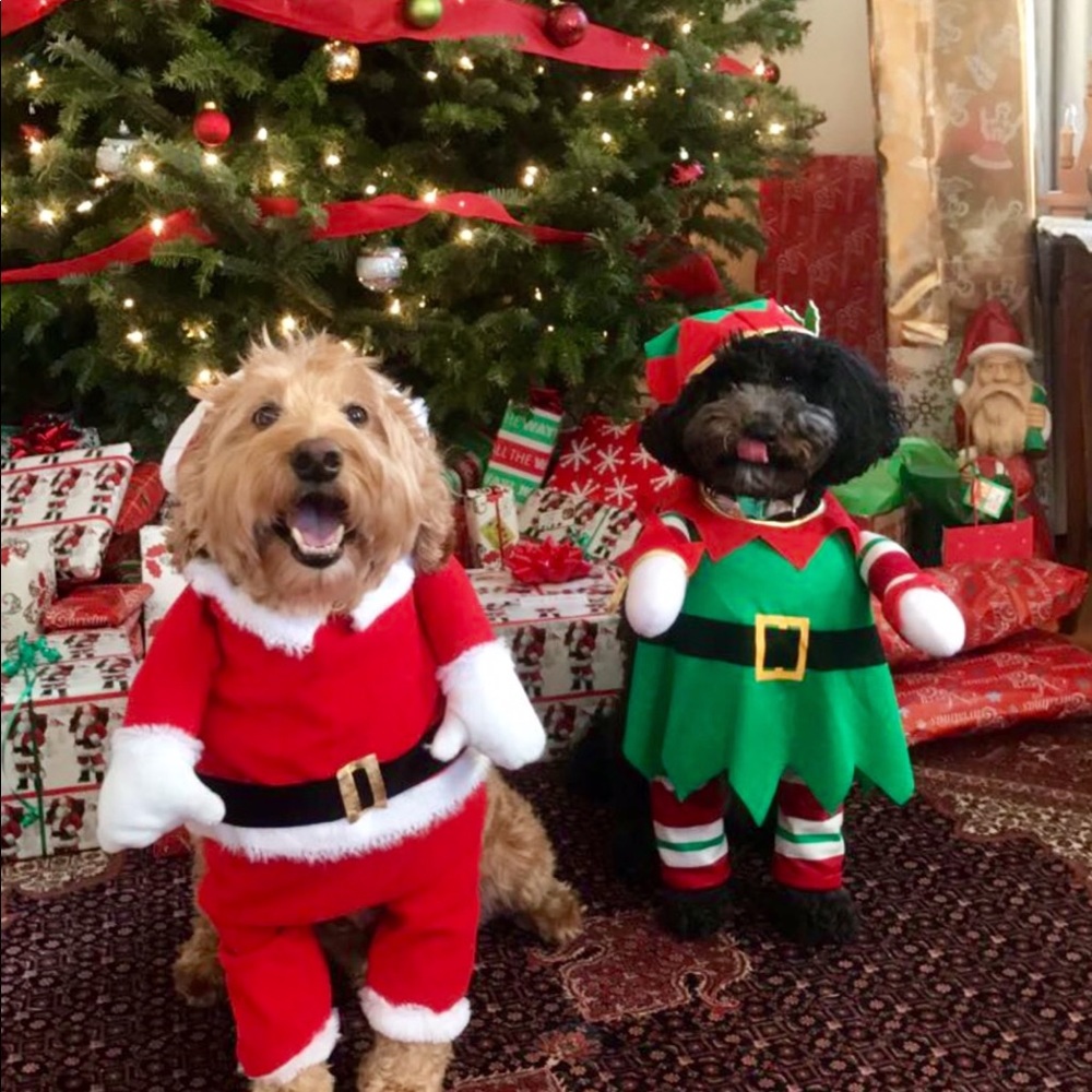 Meet your Posher, Denise